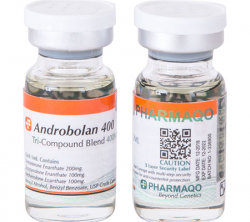 Androbolan