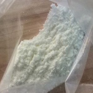 Test P powder
